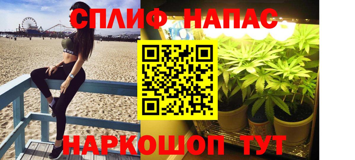 Канабис план Златоуст